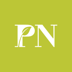 PN풍년